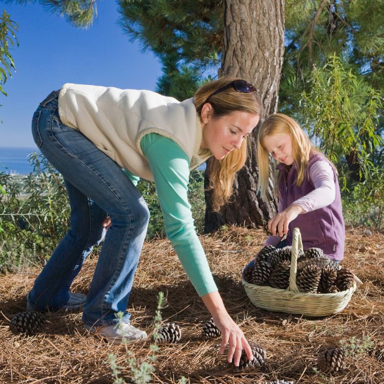A lady reaching down to pick up pine cones with her daughter, experiencing relief from back pain.