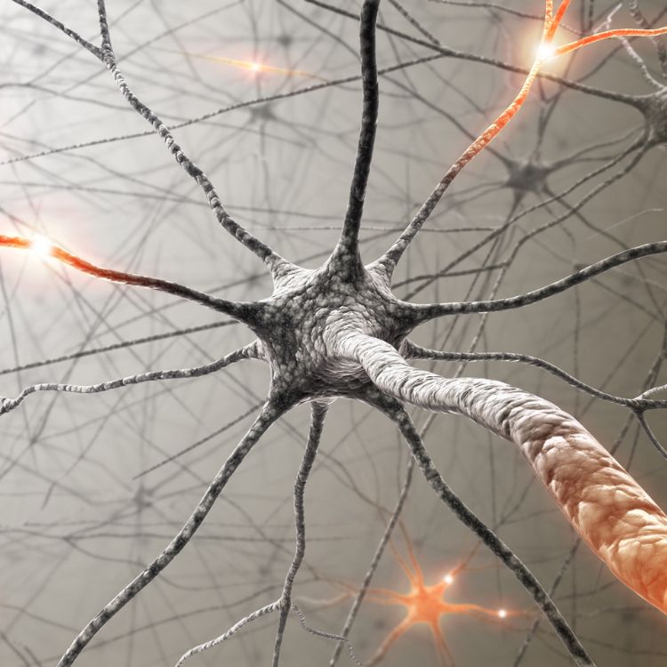 An illustration representing peripheral nerve stimulation.